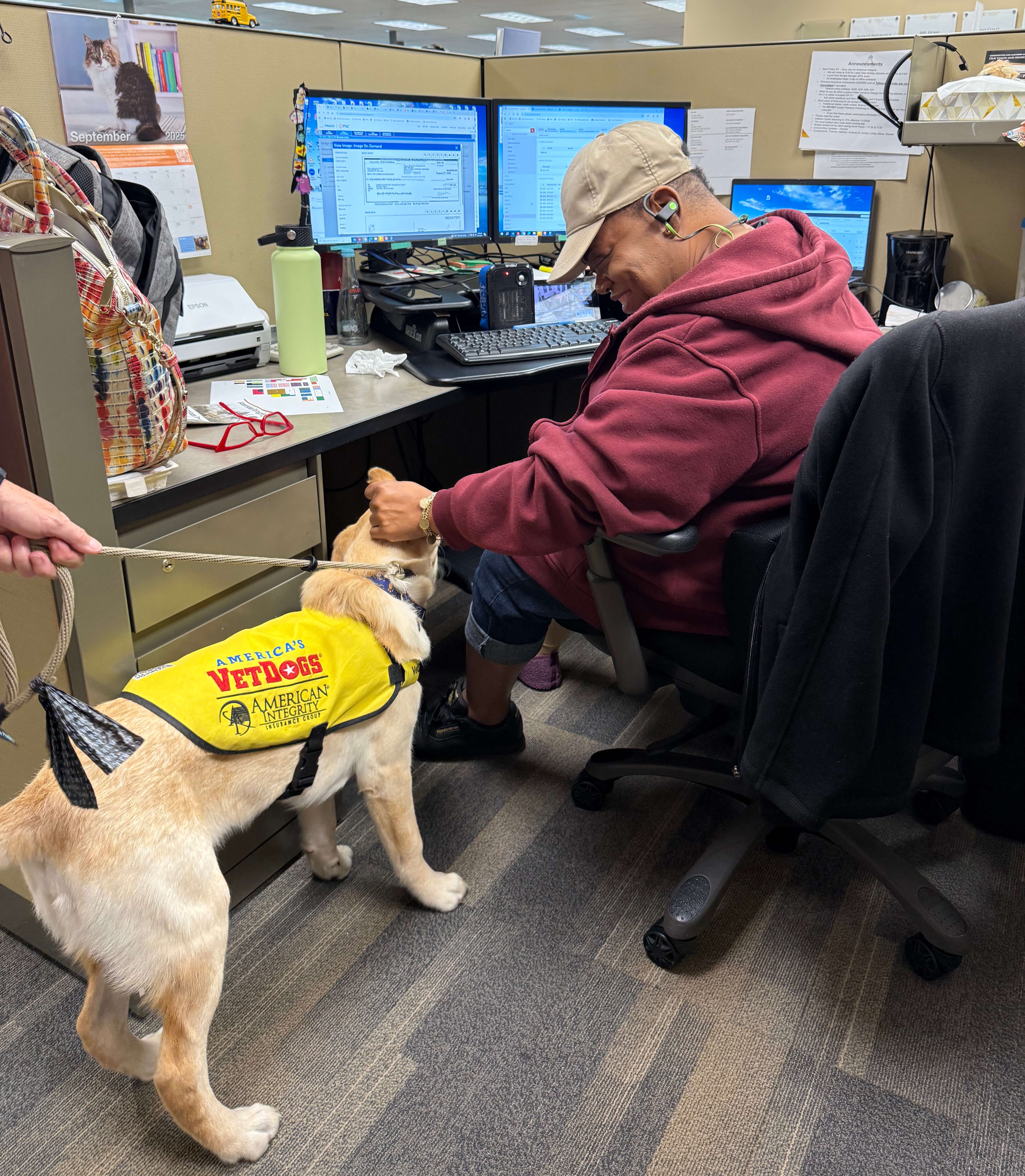 Our America's VetDogs sponsored pup, Leo, stops by our office to offer puppy therapy